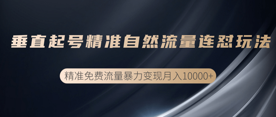 垂直起号精准自然流量连爆玩法，精准引流暴力变现月入10000+-第一精品资源库