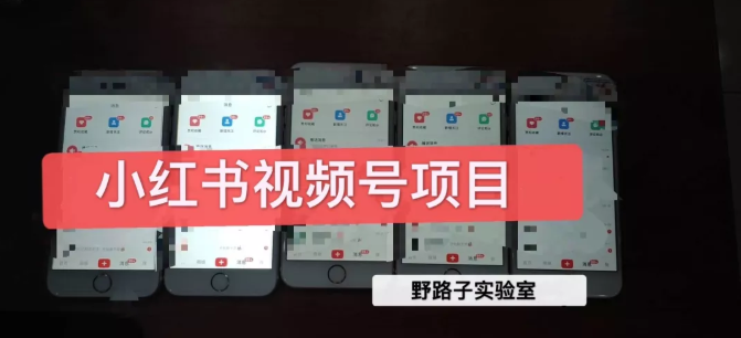 野路子小红书视频号1.0项目，直接上手操作就能赚钱的视频号项目-第一精品资源库