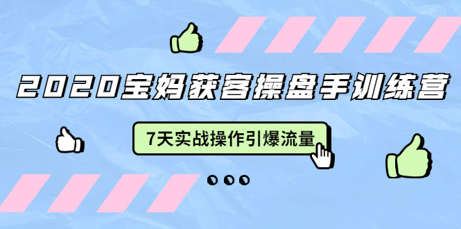 2020宝妈获客操盘手训练营：7天实战操作引爆 母婴、都市、购物宝妈流量-第一精品资源库