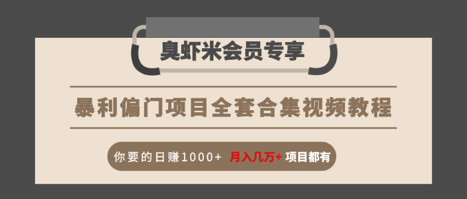 暴利偏门项目全套合集视频教程：你要的日赚1000+月入几万+项目都有-第一精品资源库