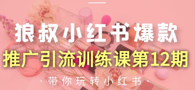 狼叔小红书爆款推广引流训练课第12期，手把手带你玩转小红书-第一精品资源库