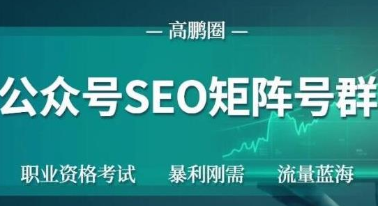 高鹏圈公众号SEO矩阵号群，实操20天纯收益25000+，普通人都能做-第一精品资源库