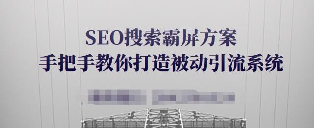 SEO搜索霸屏方案，手把手教你打造被动引流系统【视频课程】-第一精品资源库