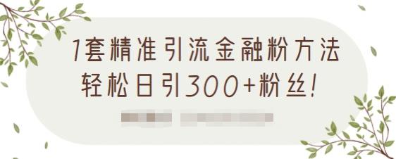 1套精准引流金融粉方法，轻松日引300+粉丝-第一精品资源库