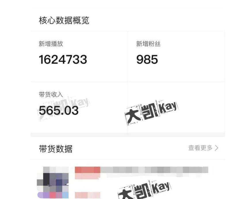 大凯进阶圈新玩法之拼多多视频玩法，利润大概一个号一天能有500~1500的左右!-第一精品资源库