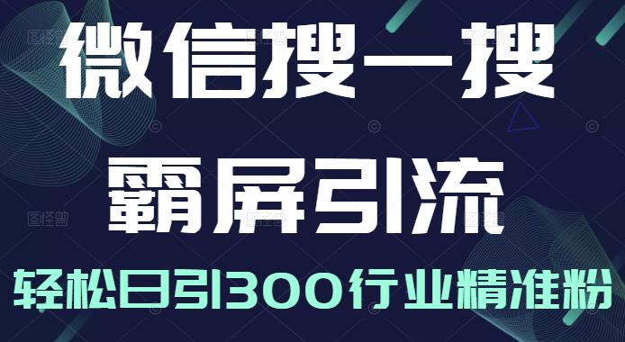 微信搜一搜霸屏引流课，打造被动精准引流系统，轻松日引300行业精准粉-第一精品资源库
