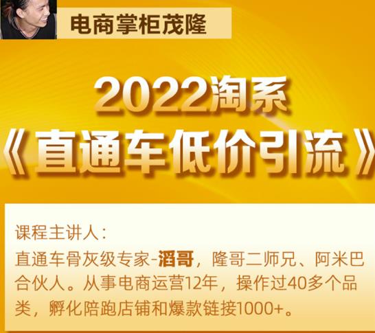 茂隆2022直通车低价引流玩法，教大家如何低投入高回报的直通车玩法-第一精品资源库