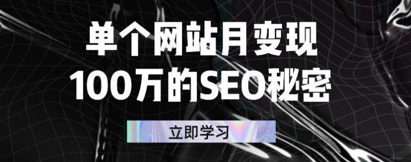单个网站月变现100万的SEO秘密，百分百做出赚钱站点-第一精品资源库