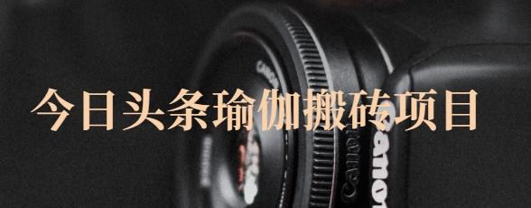 猎人社区·今日头条瑜伽搬砖项目，单号一天几十收入，可以批量操作！-第一精品资源库
