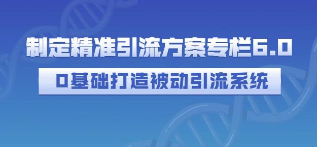 制定精准引流方案专栏6.0，0基础打造被动引流系统-第一精品资源库
