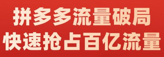 阿杰·拼多多流量破局:如何打黑标，爆款的思路，拼多多流量框架，快速抢占百亿流量-第一精品资源库