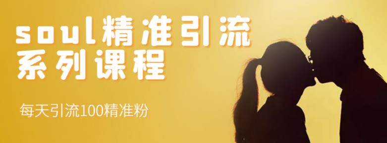 soul精准引流系列课程，每天引流100精准粉-第一精品资源库