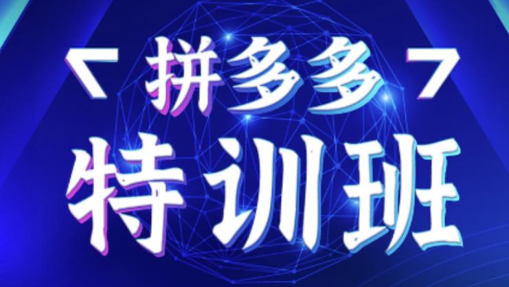 星雪教育·拼多多基础班+进阶班+突破班，用系统的学习模式快速改变现状价值3580元-第一精品资源库