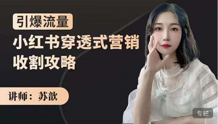 苏歆：小红书穿透式营销收割攻略，引爆流量，助你玩转小红书-第一精品资源库