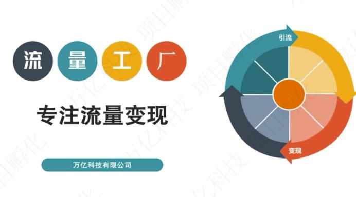 收费3980的流量工厂回粉项目，号称1个粉10元【详细玩法教程解析】-第一精品资源库