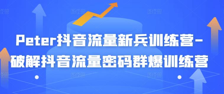 Peter抖音流量新兵训练营-破解抖音流量密码群爆训练营（新兵）-第一精品资源库