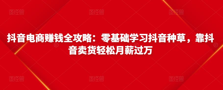 抖音电商赚钱全攻略：零基础学习抖音种草，靠抖音卖货轻松月薪过万-第一精品资源库