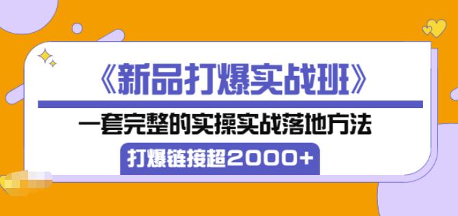 凌童《新品打爆实战班》,一套完整的实操实战落地方法，打爆链接超2000+（28节课)-第一精品资源库