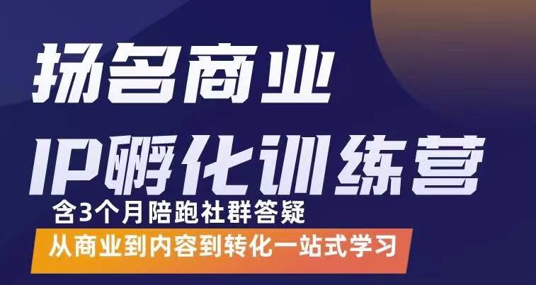 杨名商业IP孵化训练营，从商业到内容到转化一站式学 价值5980元-第一精品资源库