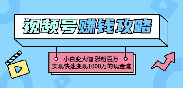 玩转微信视频号赚钱：小白变大咖涨粉百万实现快速变现1000万的现金流-第一精品资源库