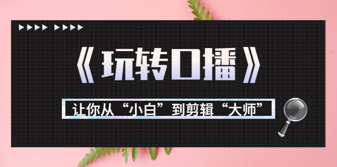 月营业额700万+大佬教您《玩转口播》让你从“小白”到剪辑“大师”-第一精品资源库