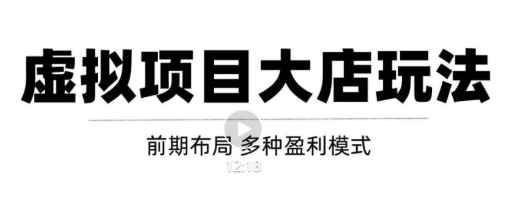 虚拟项目月入几万大店玩法分享，多店操作利润倍增（快速起店盈利）-第一精品资源库