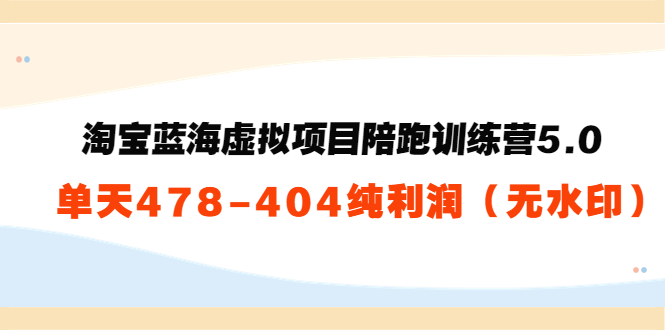淘宝蓝海虚拟项目陪跑训练营5.0：单天478纯利润-第一精品资源库