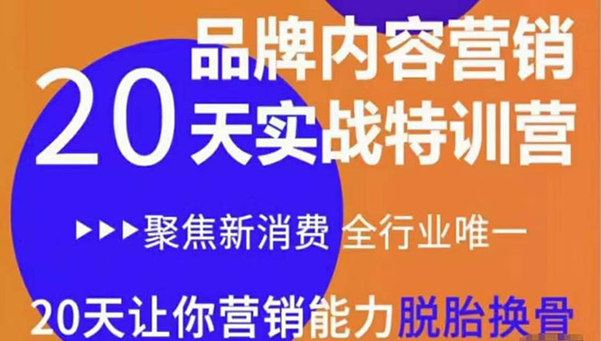 《内容营销实操特训营》20天让你营销能力脱胎换骨（价值3999）-第一精品资源库