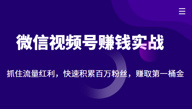 微信视频号赚钱实战：抓住流量红利，快速积累百万粉丝，赚取你的第一桶金-第一精品资源库