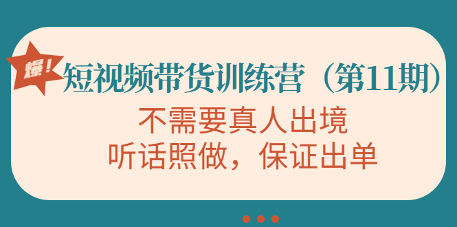 视频带货训练营，不需要真人出境，听话照做，保证出单（第11期）-第一精品资源库