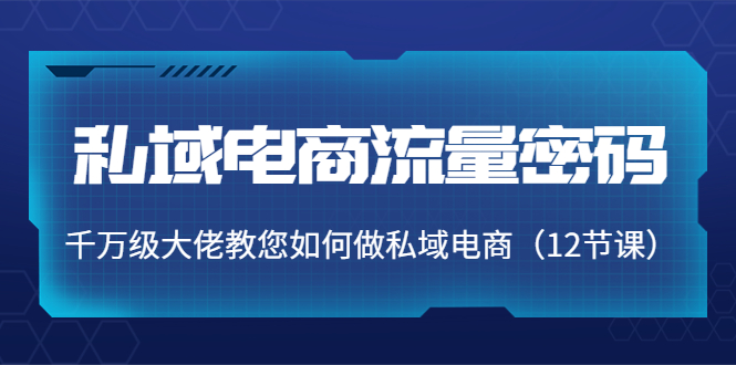 私域电商流量密码：千万级大佬教您如何做私域电商（12节课）-第一精品资源库