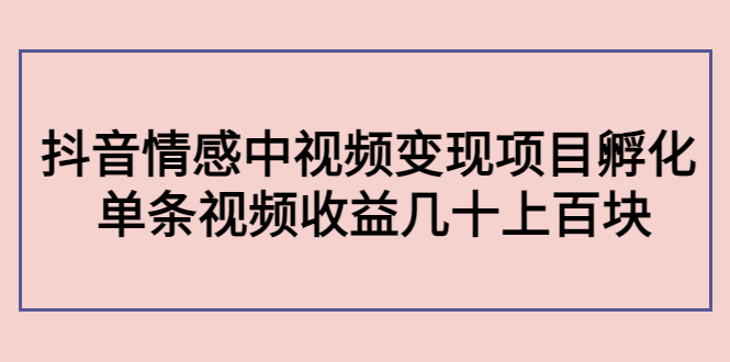 副业孵化营第5期：抖音情感中视频变现项目孵化 单条视频收益几十上百-第一精品资源库