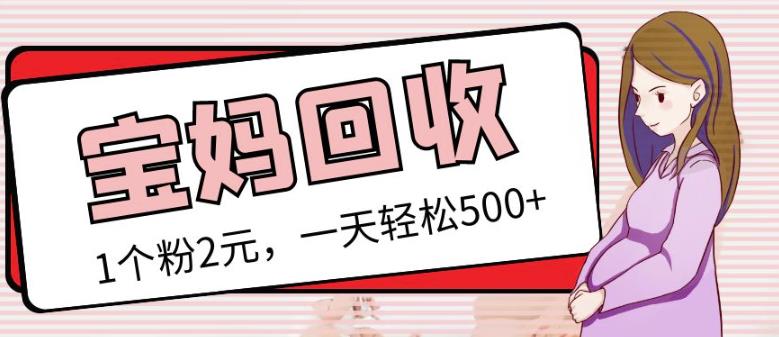 最新小红书母婴号宝妈粉回收项目，1个粉2元，一天轻松500+案例分享【粉丝包回收】-第一精品资源库
