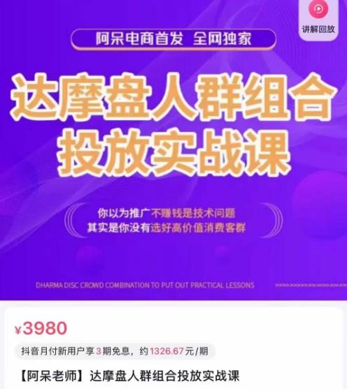 阿呆电商·达摩盘人群组合投放实战课，你以为推广不赚钱是技术问题，其实是你没有选好高价值消费客群-第一精品资源库