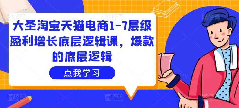 大圣淘宝天猫电商1-7层级盈利增长底层逻辑课，爆款的底层逻辑-第一精品资源库