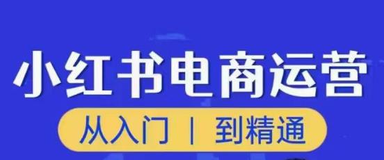 顽石小红书电商高阶运营课程，从入门到精通，玩法流程持续更新-第一精品资源库