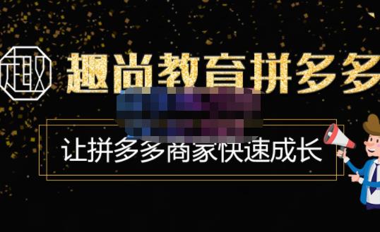 趣尚教育·拼多多运营实操VIP特训营，让拼多多商家快速成长-价值3180元-第一精品资源库