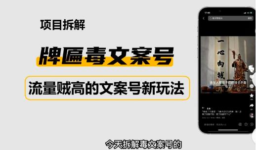 2023抖音快手毒文案新玩法，牌匾文案号，起号快易变现-第一精品资源库