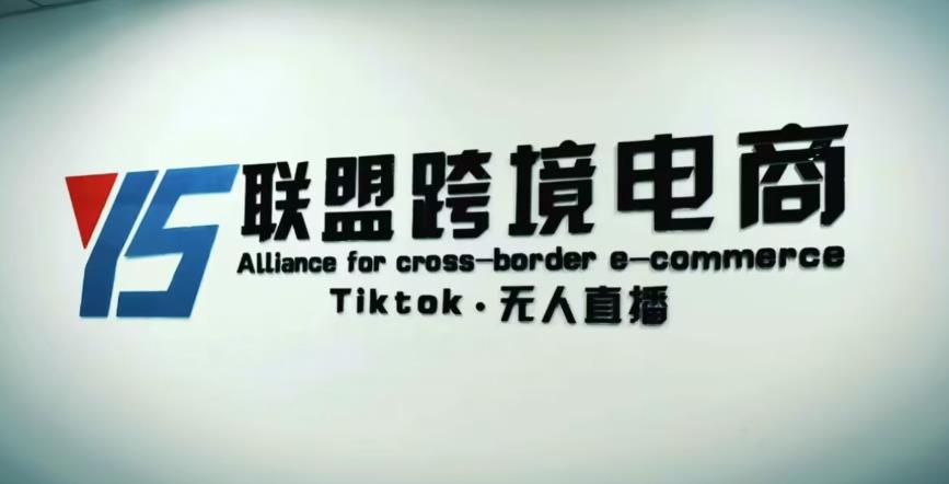 YS联盟·Tiktok无人直播，不出镜不剪辑不拍摄不发货无售后的跨境短视频躺赚玩法-第一精品资源库