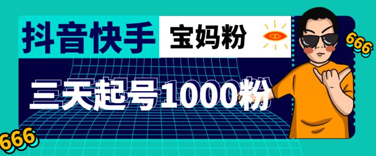 抖音快手三天起号涨粉1000宝妈粉丝的核心方法【详细玩法教程】-第一精品资源库