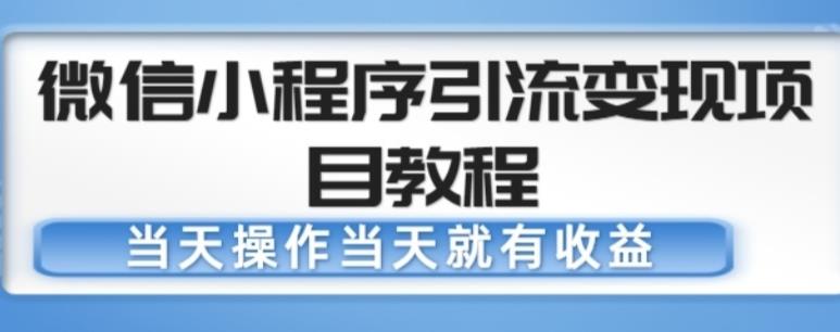 微信小程序引流变现项目教程，当天操作当天就有收益，变现不再是难事-第一精品资源库