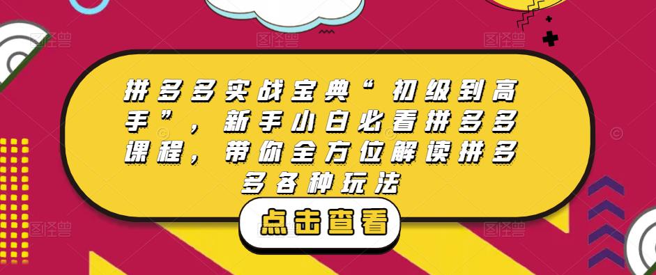 拼多多实战宝典“初级到高手”，新手小白必看拼多多课程，带你全方位解读拼多多各种玩法-第一精品资源库