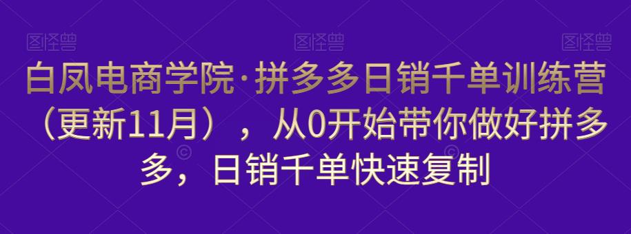 白凤电商学院·拼多多日销千单训练营，从0开始带你做好拼多多，日销千单快速复制（更新知2023年3月）-第一精品资源库