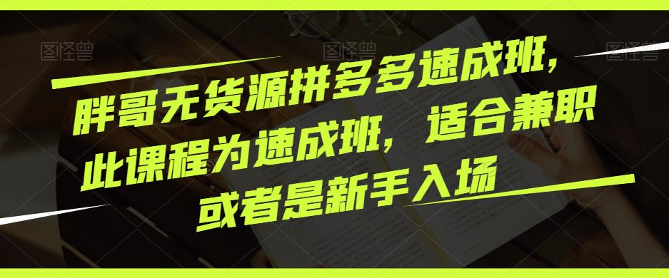 胖哥无货源拼多多速成班，此课程为速成班，适合兼职或者是新手入场-第一精品资源库