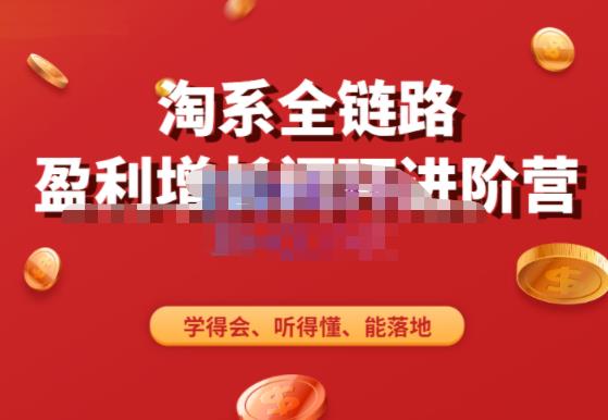 淘系全链路盈利增长闭环进阶营，融合全店动销，学得会、听得懂、能落地！-第一精品资源库