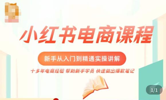 小红书电商新手入门到精通实操课，从入门到精通做爆款笔记，开店运营-第一精品资源库
