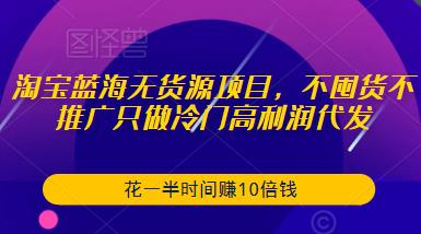 淘宝蓝海无货源项目，不囤货不推广只做冷门高利润代发，花一半时间赚10倍钱-第一精品资源库