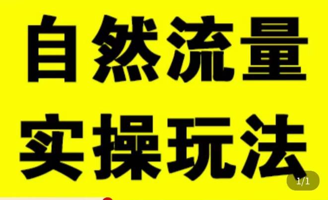 拼多多自然流量天花板，拼多多自然流的实操玩法，自然流量是怎么来的，如何开车带来自然流等知识-第一精品资源库