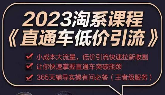 2023直通车低价引流玩法课程，小成本大流量，低价引流快速拉新收割，让你快速掌握直通车突破瓶颈-第一精品资源库