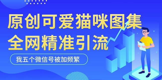 黑科技纯原创可爱猫咪图片，全网精准引流，实操5个VX号被加频繁-第一精品资源库